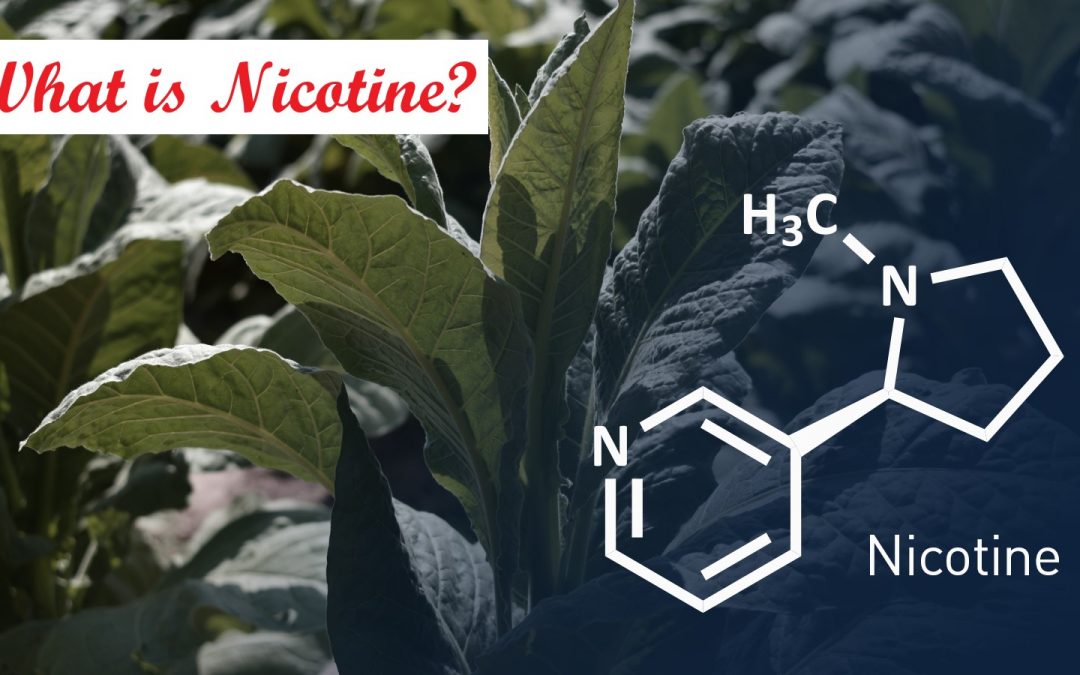 WHAT IS NICOTINE?